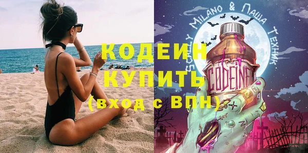 индика Беломорск