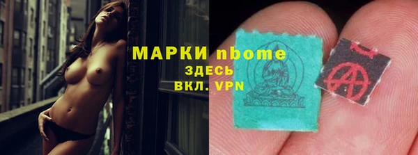 индика Беломорск