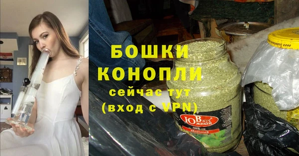 шишки Богородск