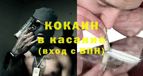 индика Беломорск