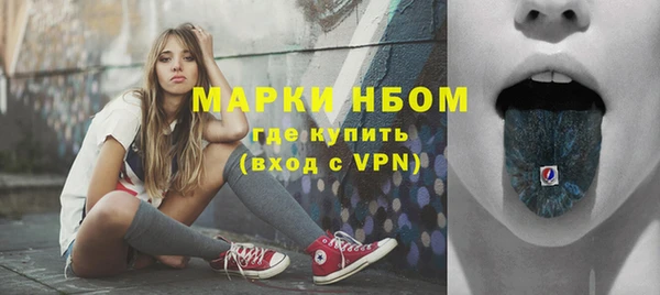 индика Беломорск