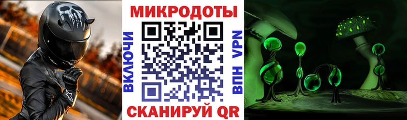 Галлюциногенные грибы мицелий Купить где Сельцо